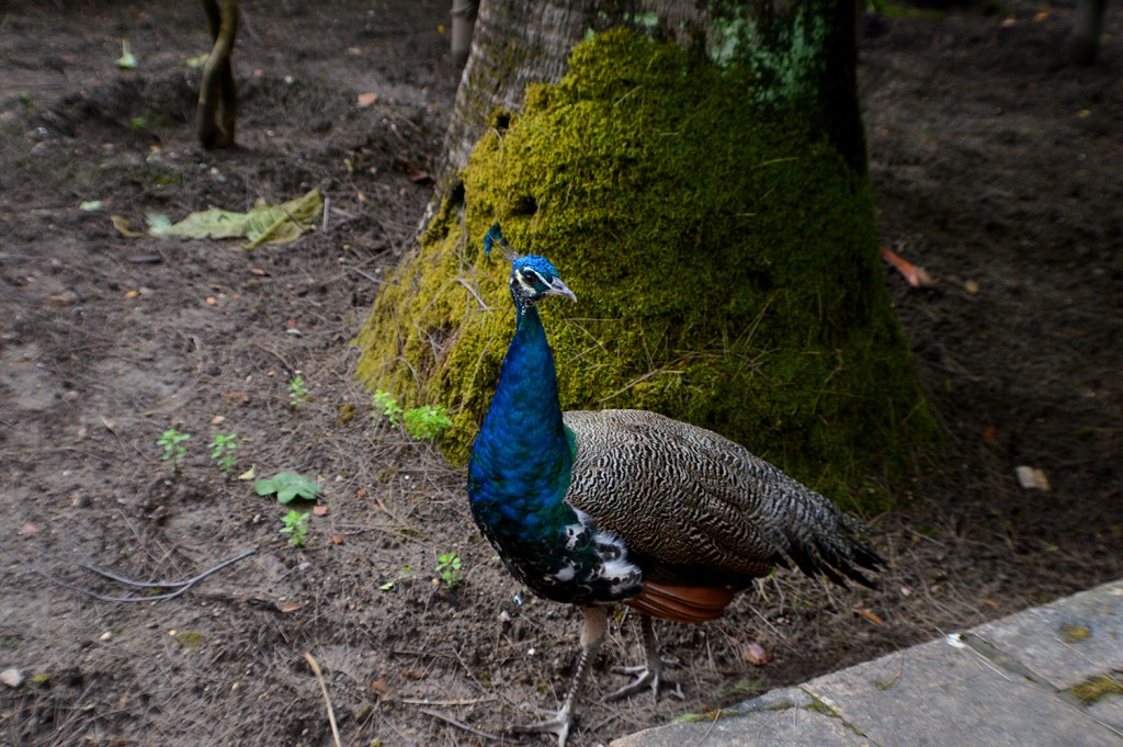 DSC_0023