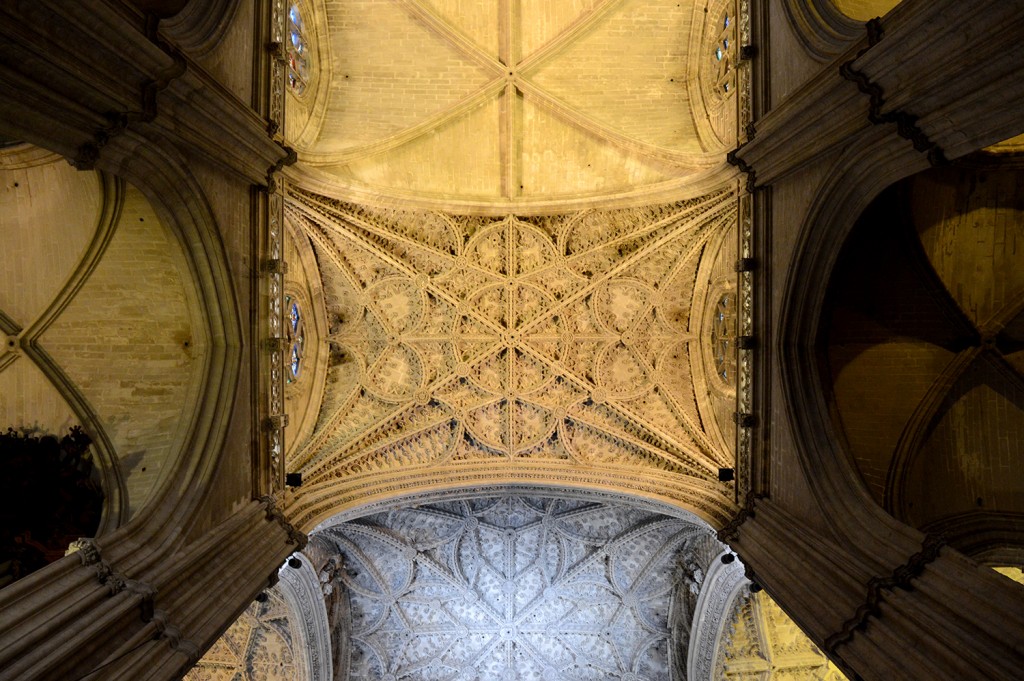 DSC_0833