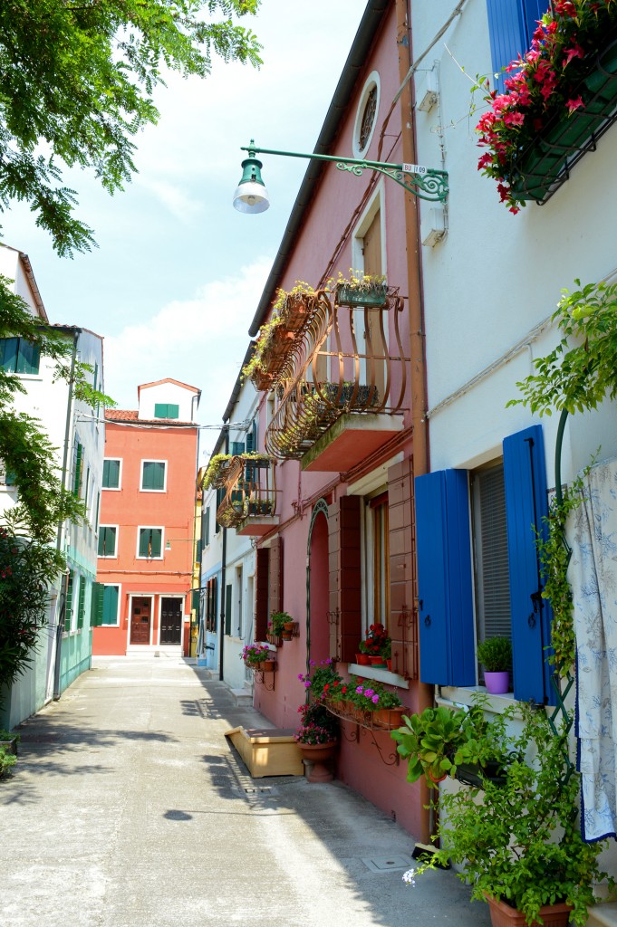 burano village couleurs rue plante