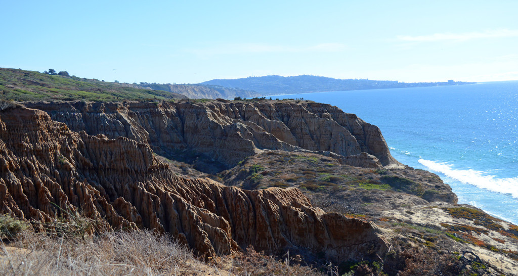 Falaises de Torrey Pines avec l'océan pacifique