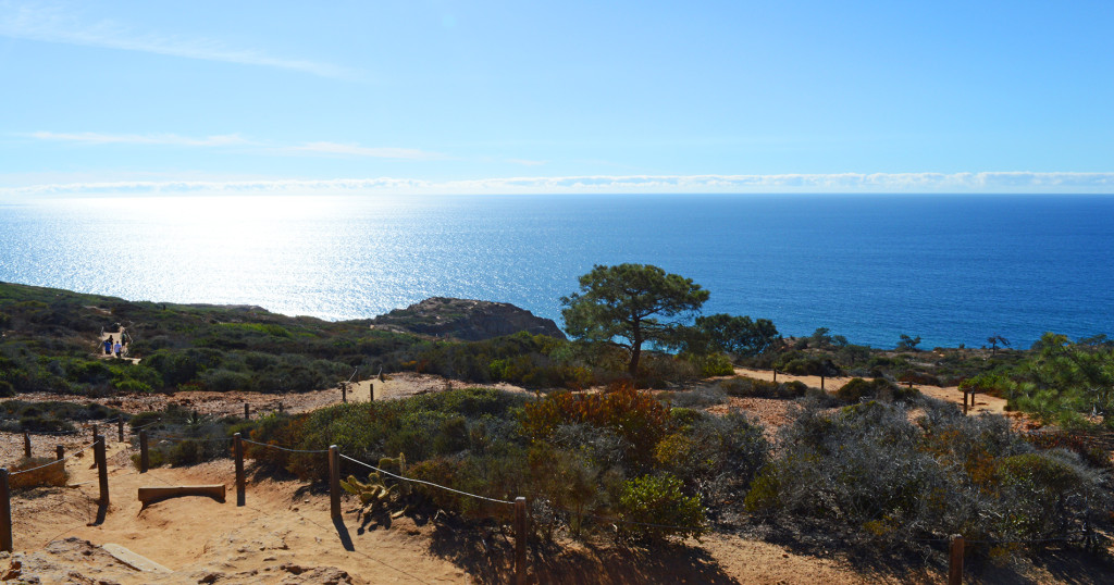 Vue sur l'océan 