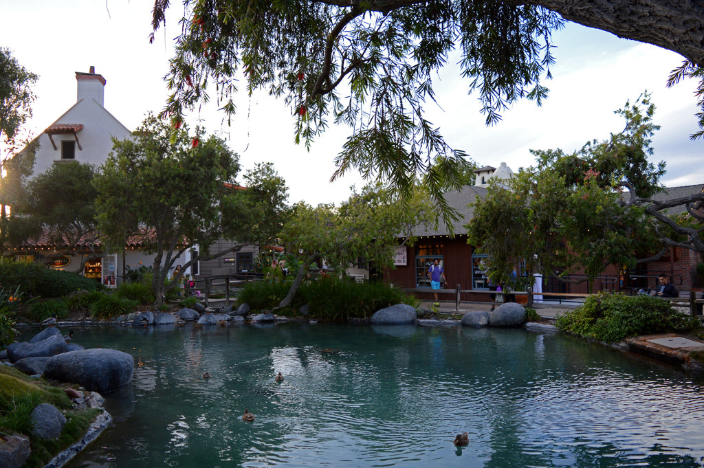 Mare au canards dans seaport village