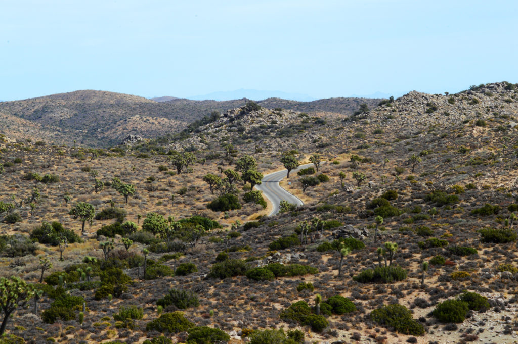 route dans Joshua Tree National Park