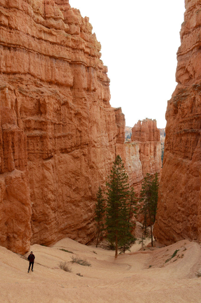 Dans le canyon 