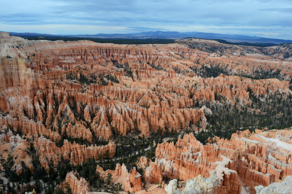 Vue sur l'amphithéatre de Bryce Canyon 