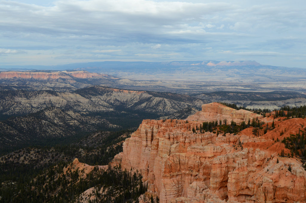 Une vue sur les alentours du parc