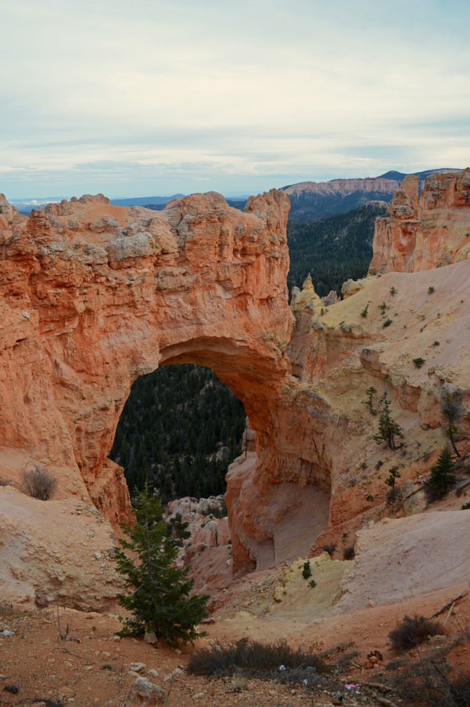 Natural Bridge