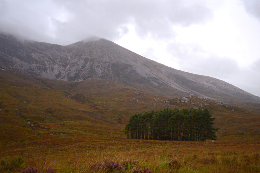 Couleurs dans les highlands, sur la route north coast 500