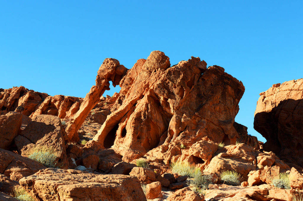 elephant rock