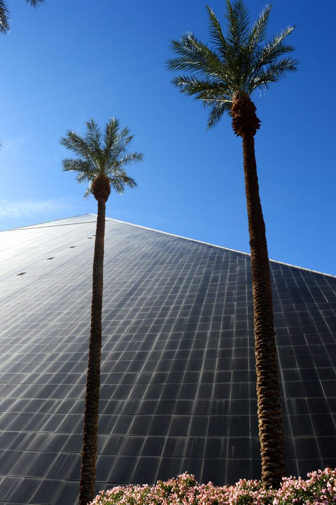 pyramide du luxor avec palmiers