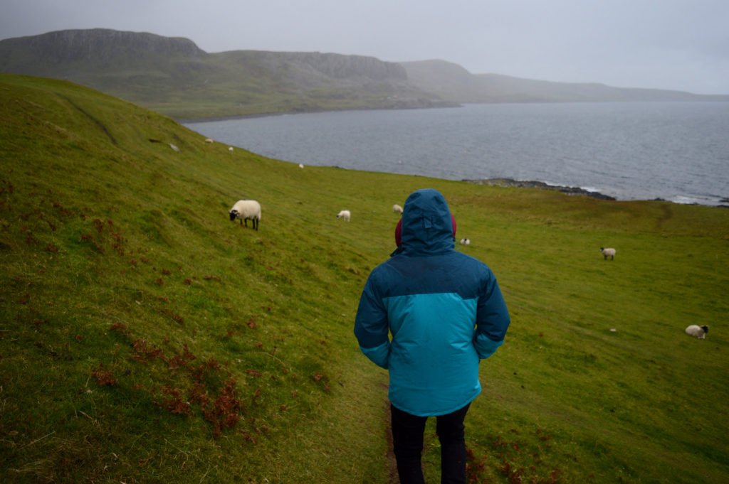 Manu sous la pluie au milieu des moutons, près de la côte