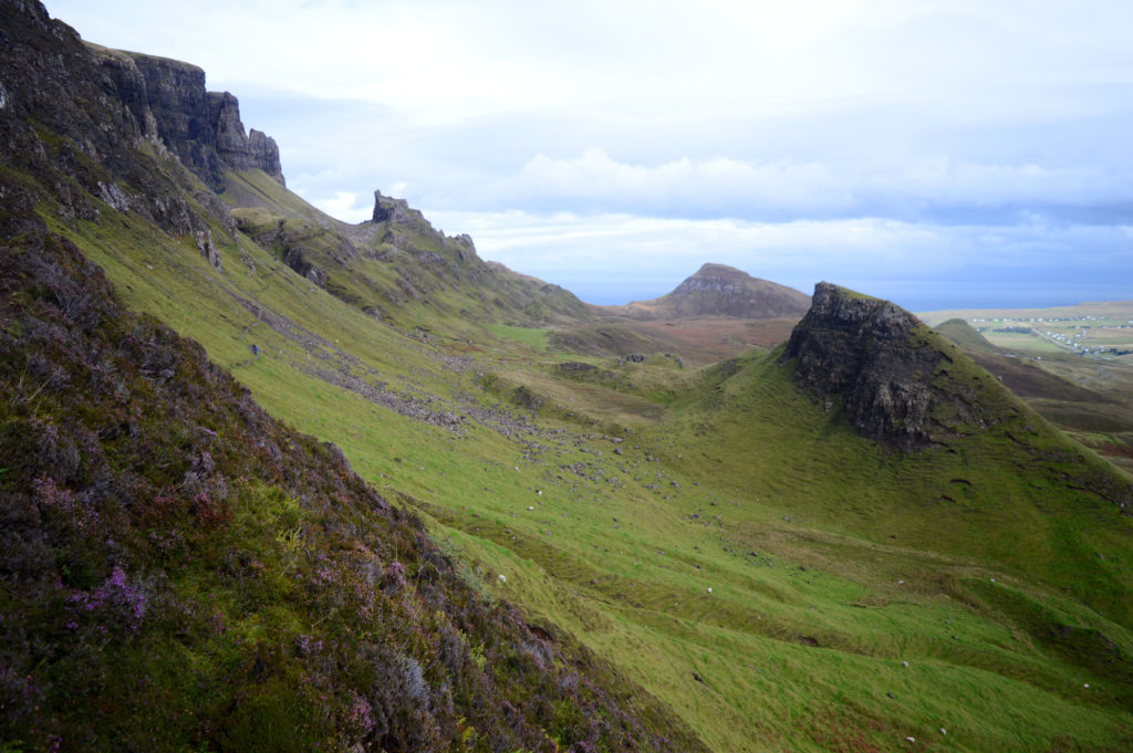 fleurs sauvages et verdure dans le Quiraing sur l'île de Skye