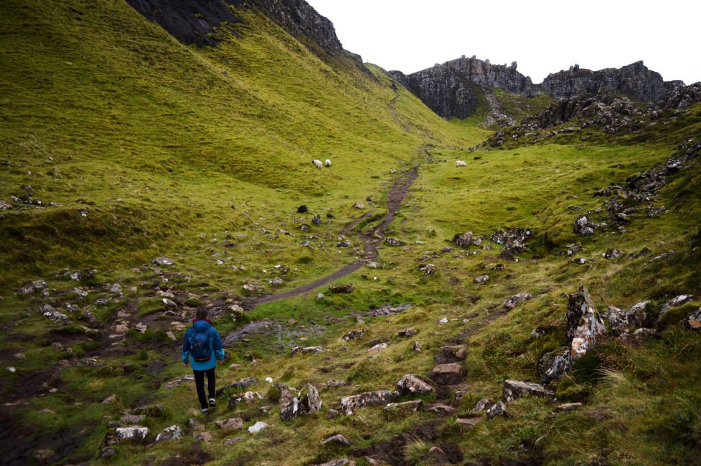 rochers, verdures, moutons sur le sentier de randonnée 