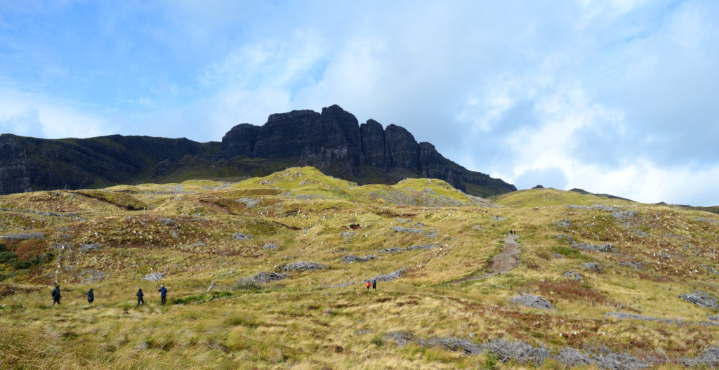 verdure et massif au loin 