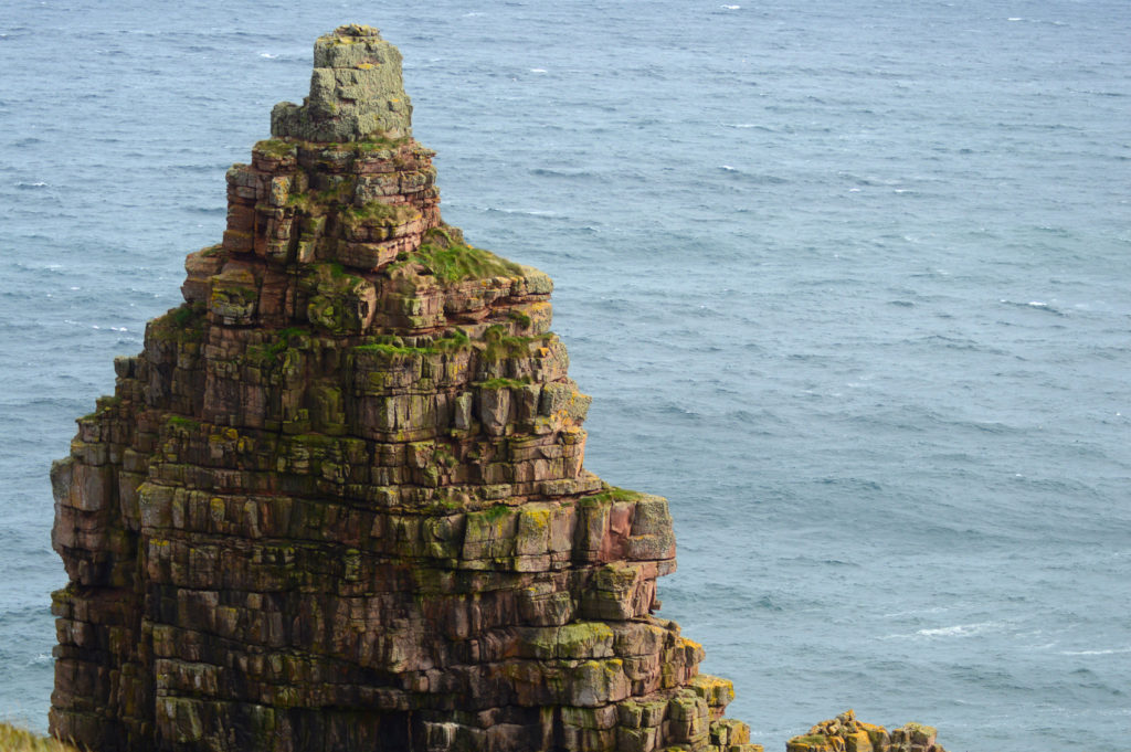 détails d'un Stacks, rocher plein de mousses