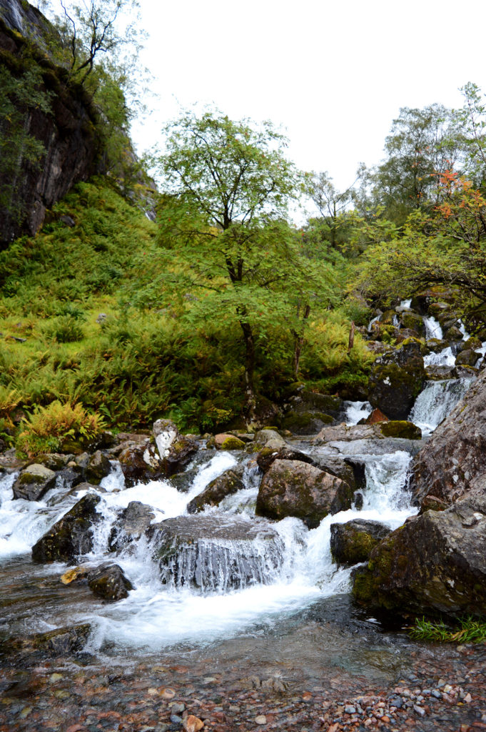 cascade sur des pierres