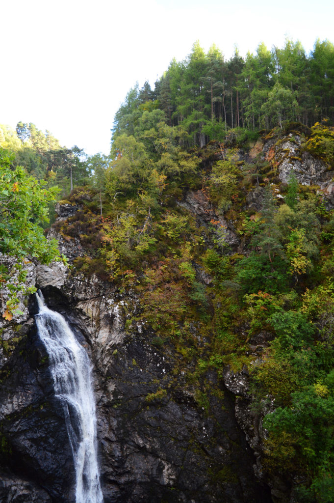 grande cascade dans la forêt