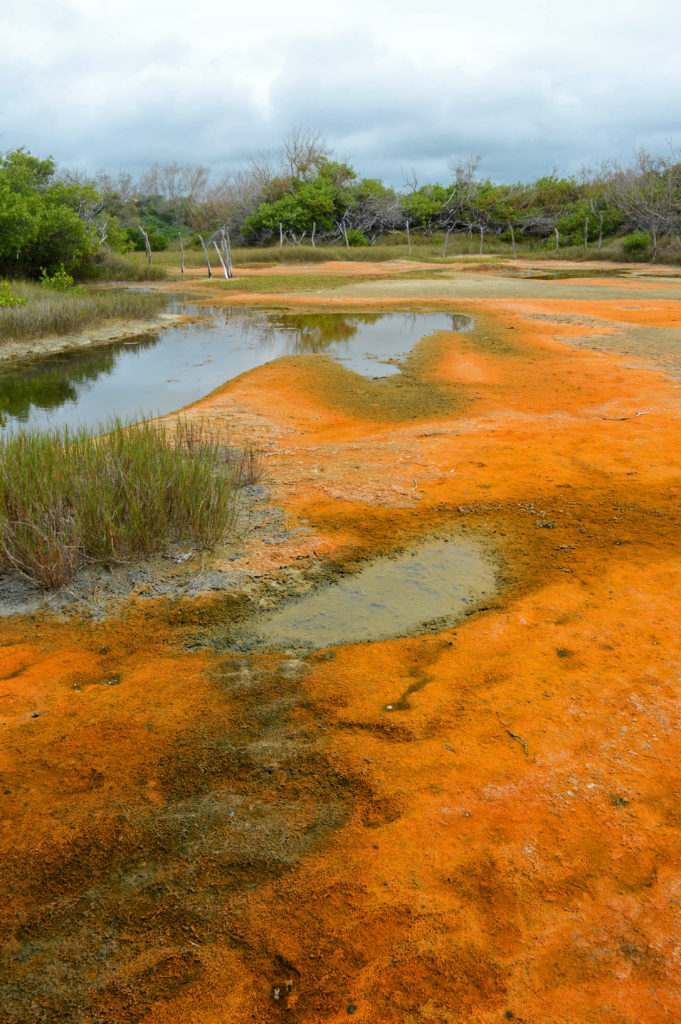 lacs paysages orange