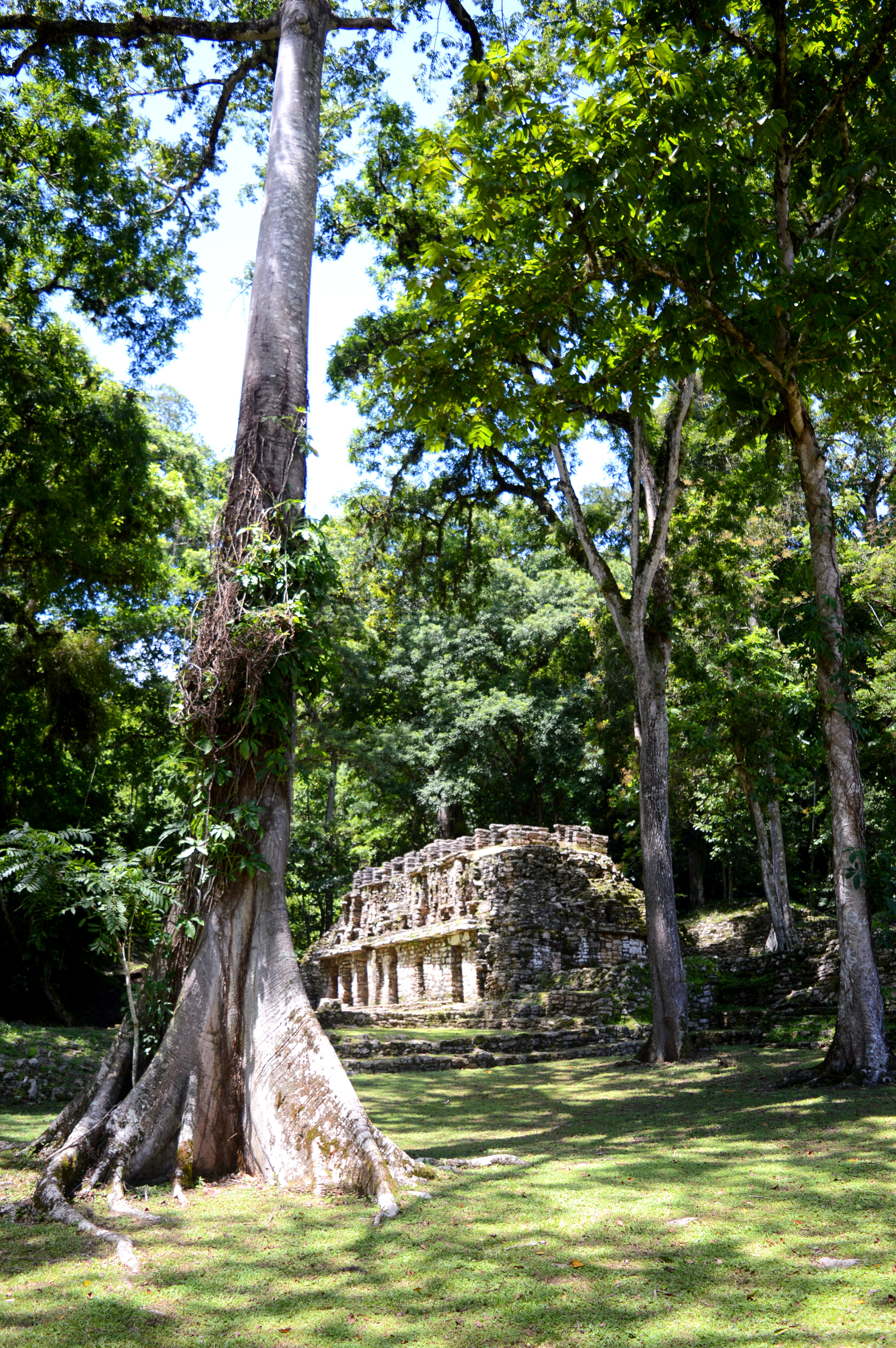 ruines de Yaxchilan mexique au milieu de la forêt tropicale