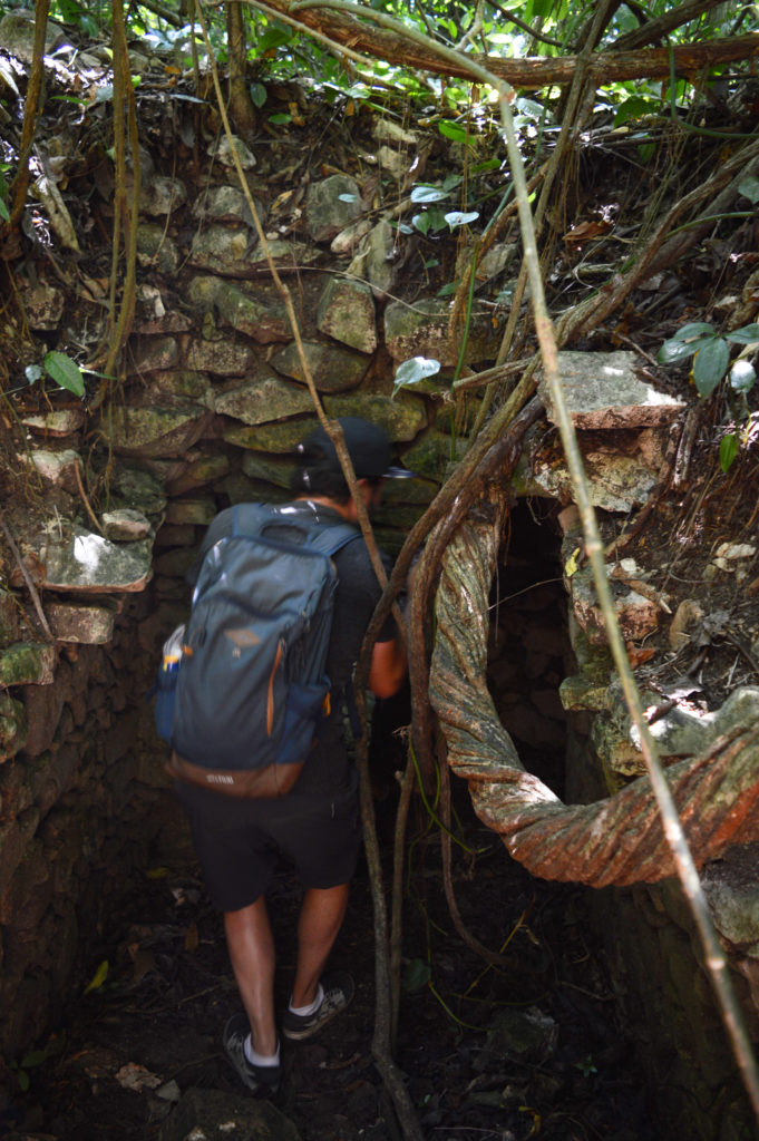 ruines palenque mexique dans la jungle