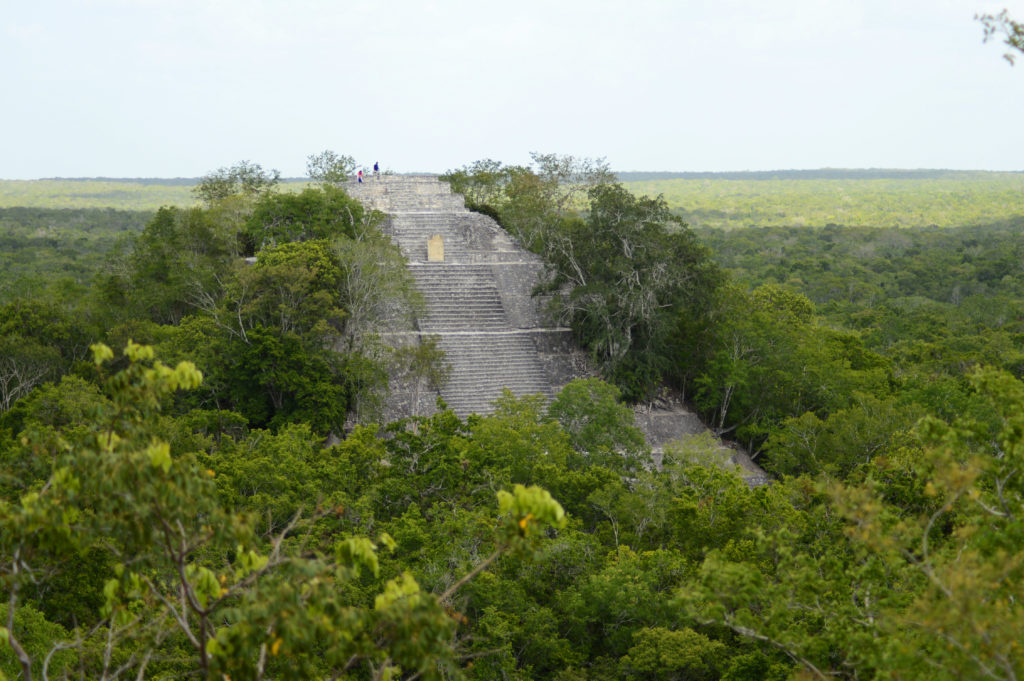 pyramide maya dans la forêt tropicale aux ruines Calakmul Mexique