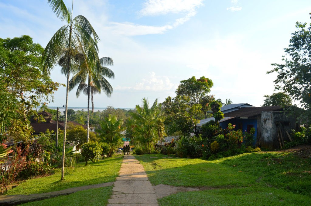 Chemin dans le village de Puerto Nariño, bien dégagé au milieu de l'herbe, avec des arbres à gauche, une maison en taule à droite, et l'amazone en arrière plan