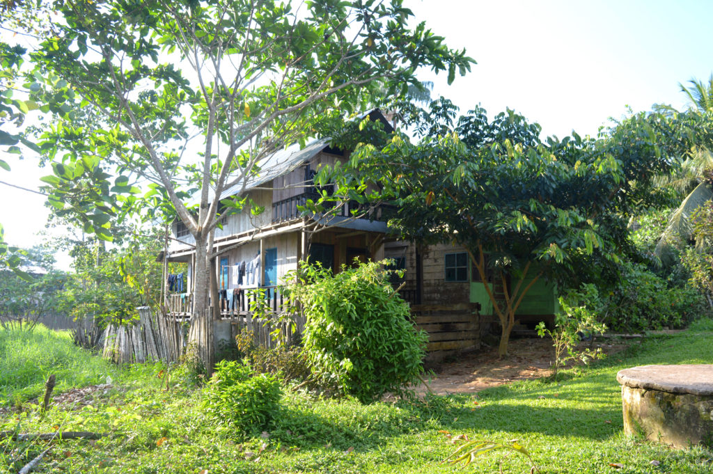 Maison en bois à Puerto Nariño, entourée d'arbres et de verdure, avec du linge qui sèche devant