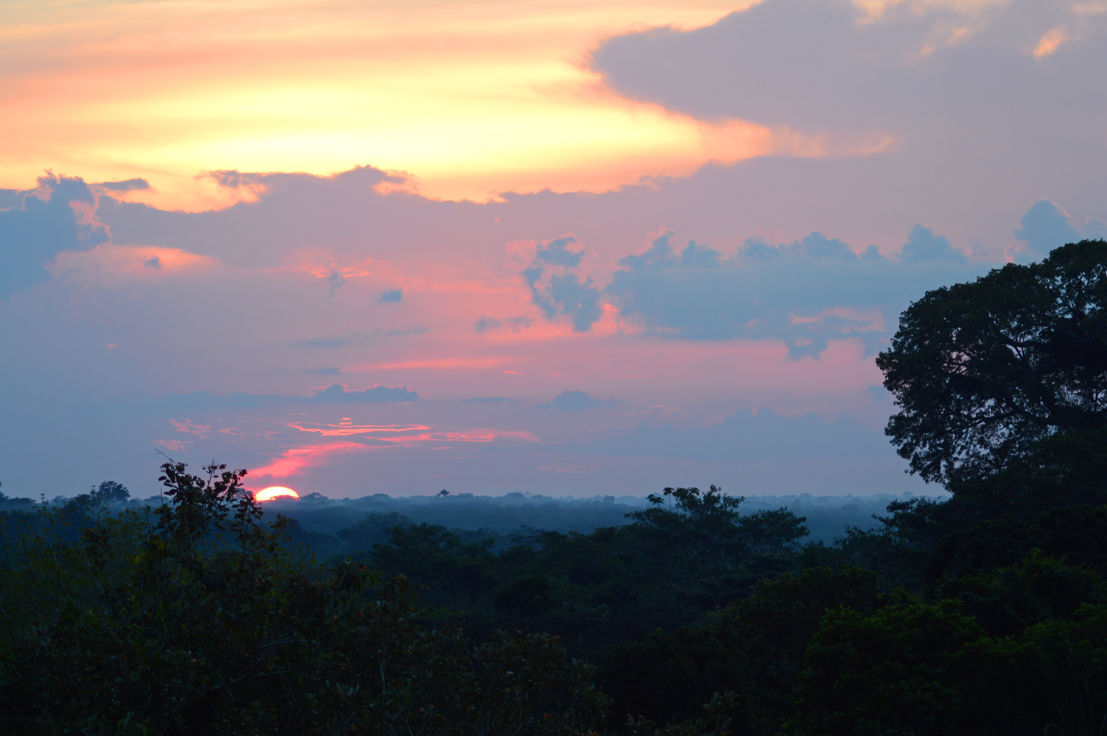 Soleil rouge, illuminant le ciel de couleurs orangées, sur le point de disparaitre dans la canopée de l'Amazonie, à côté de Puerto Nariño