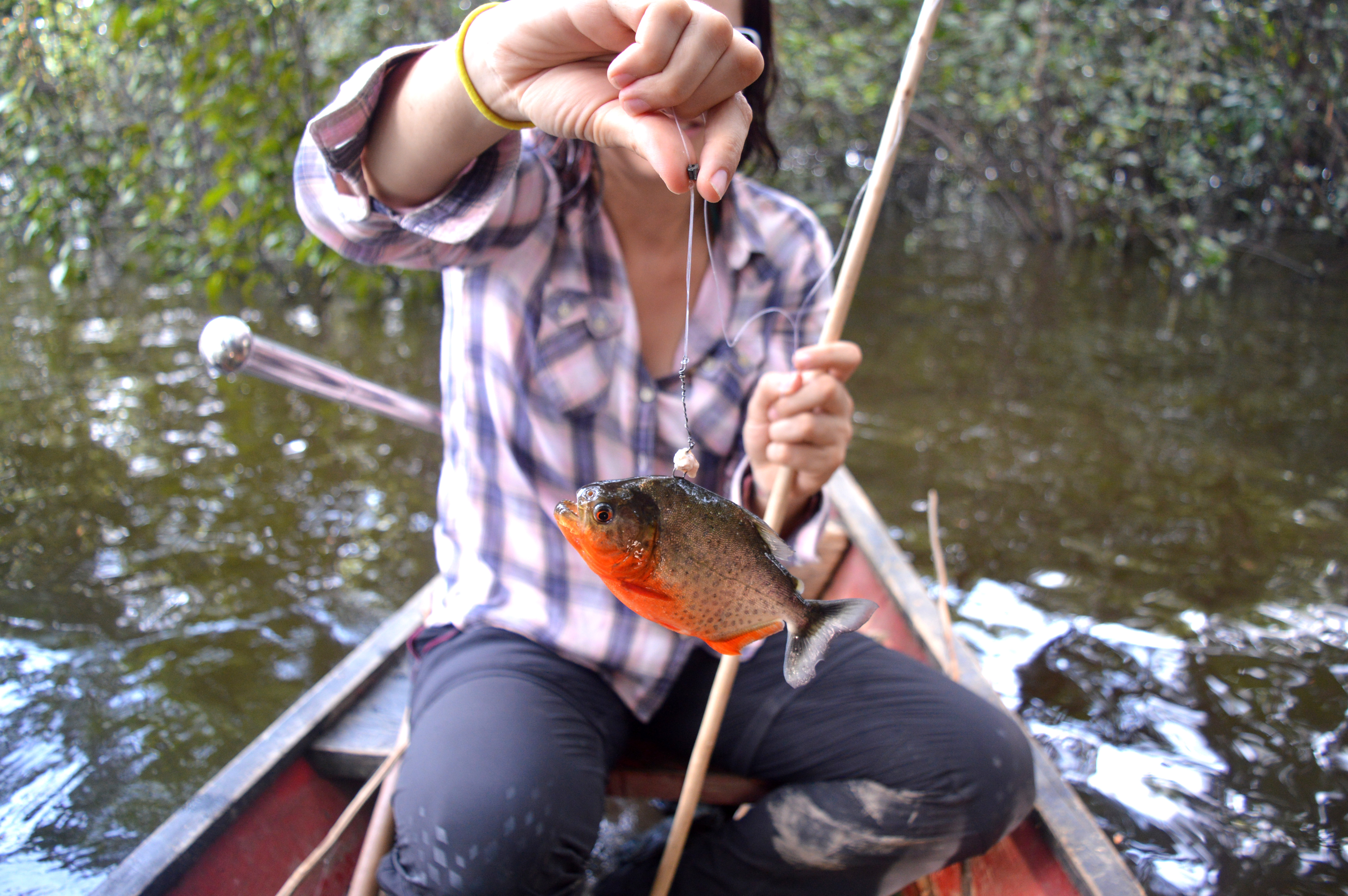 Amandine assise dans la barque, tenant par le fil de pêche un piranha au ventre rouge, et au dos gris tacheté de points noirs