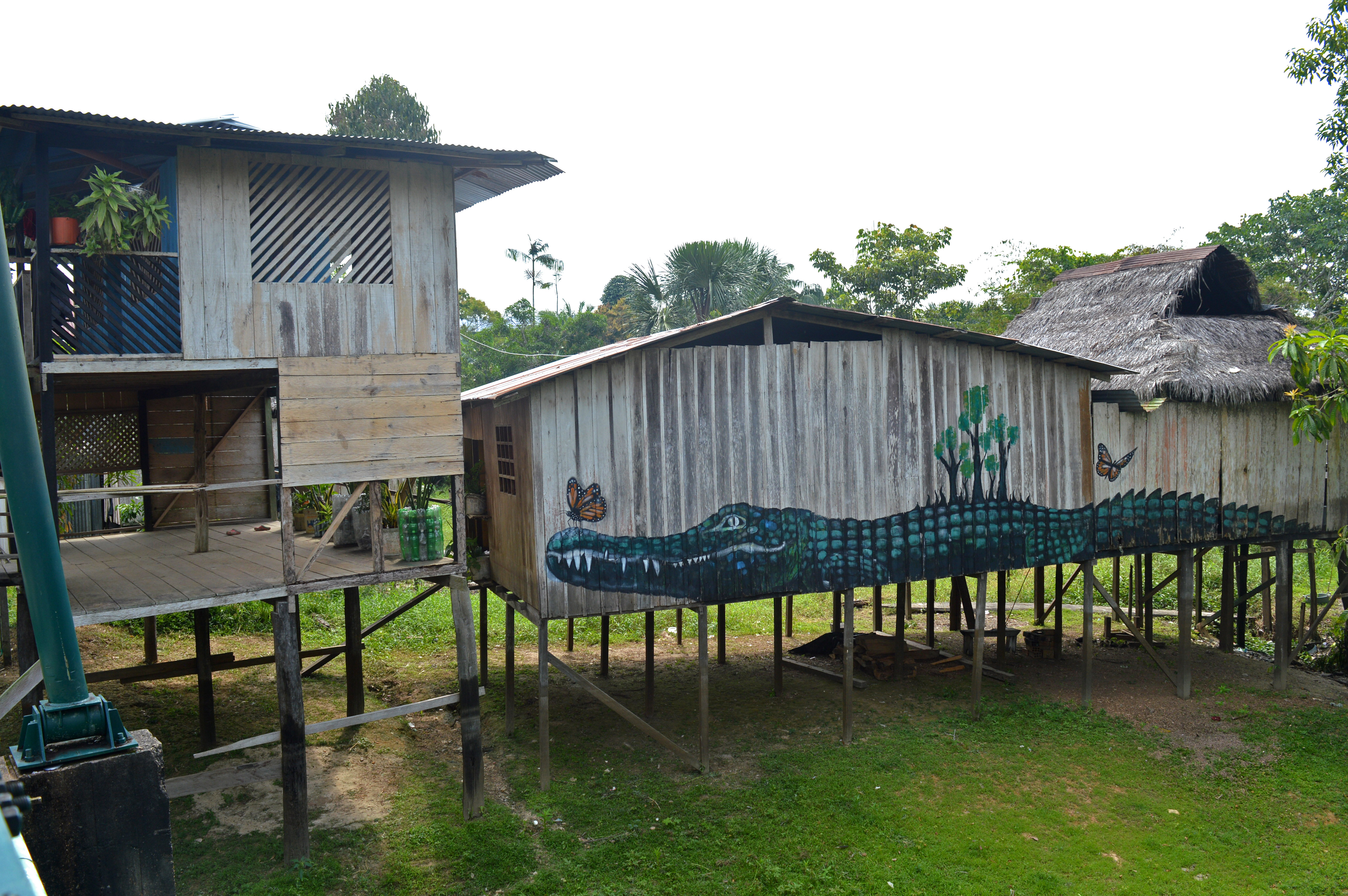 Maison en bois sur pilotis à Puerto Nariño, avec un crocodile peint le long de la maison, donnant l'impression qu'il nage au dessus de l'eau, quand l'eau arrivera à hauteur