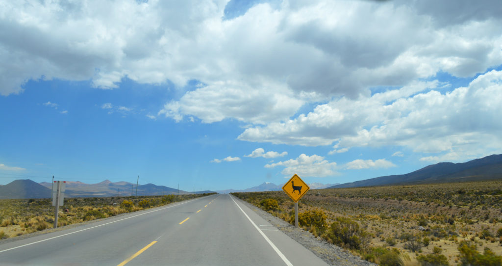 Route avec un panneau "Attention aux lamas"