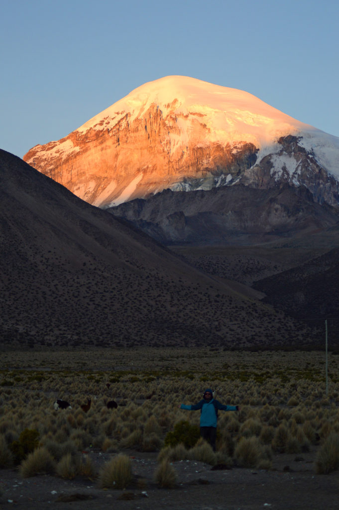 Le haut du sommet du volcan Sajama, teinté de la lumière rosée du soir. Lamas et altiplano au pied du sommet