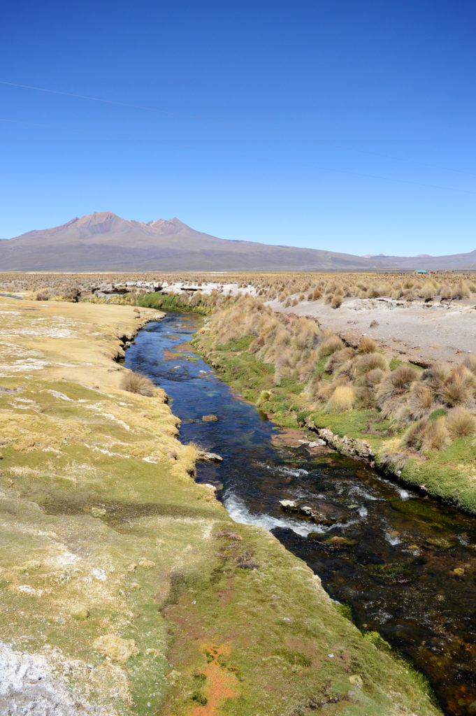 Petite rivière traversant l'altiplano