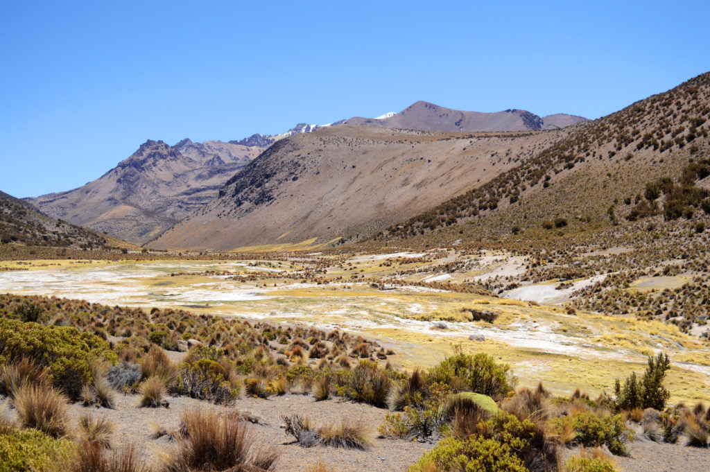 Altiplano avec chaine de montagnes au fond