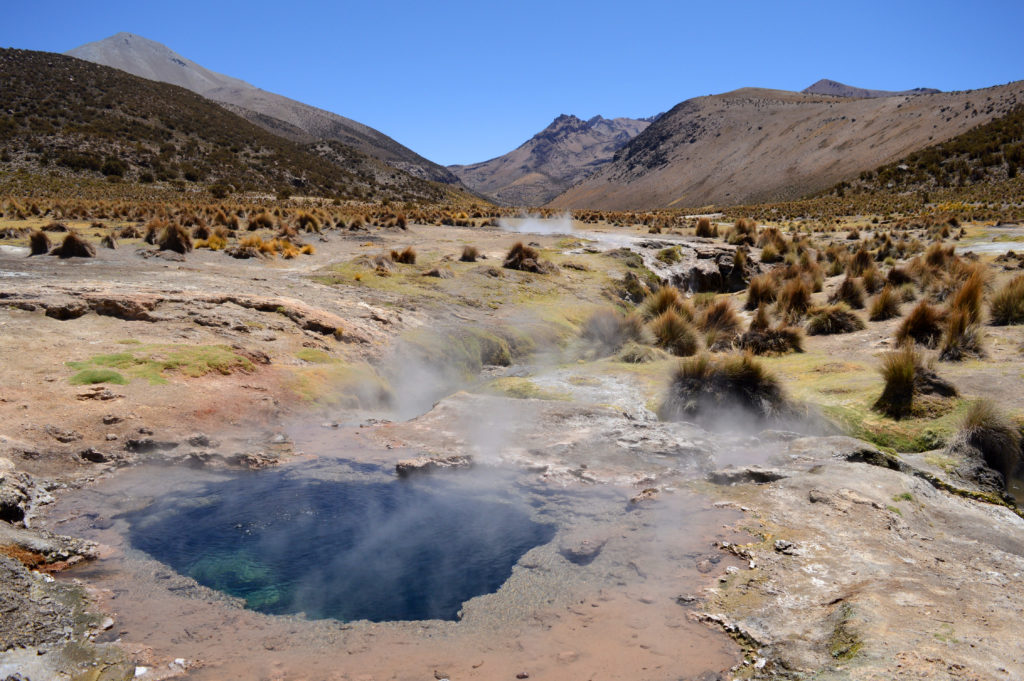 Geyser bleu, au milieu des herbes jaunes de l'altiplano