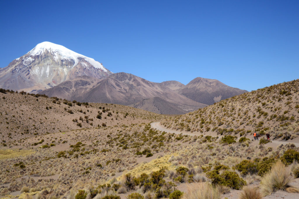 Chemin de terre au milieu des herbes de l'altiplano, chaine de montagnes enneigée en arrière plan