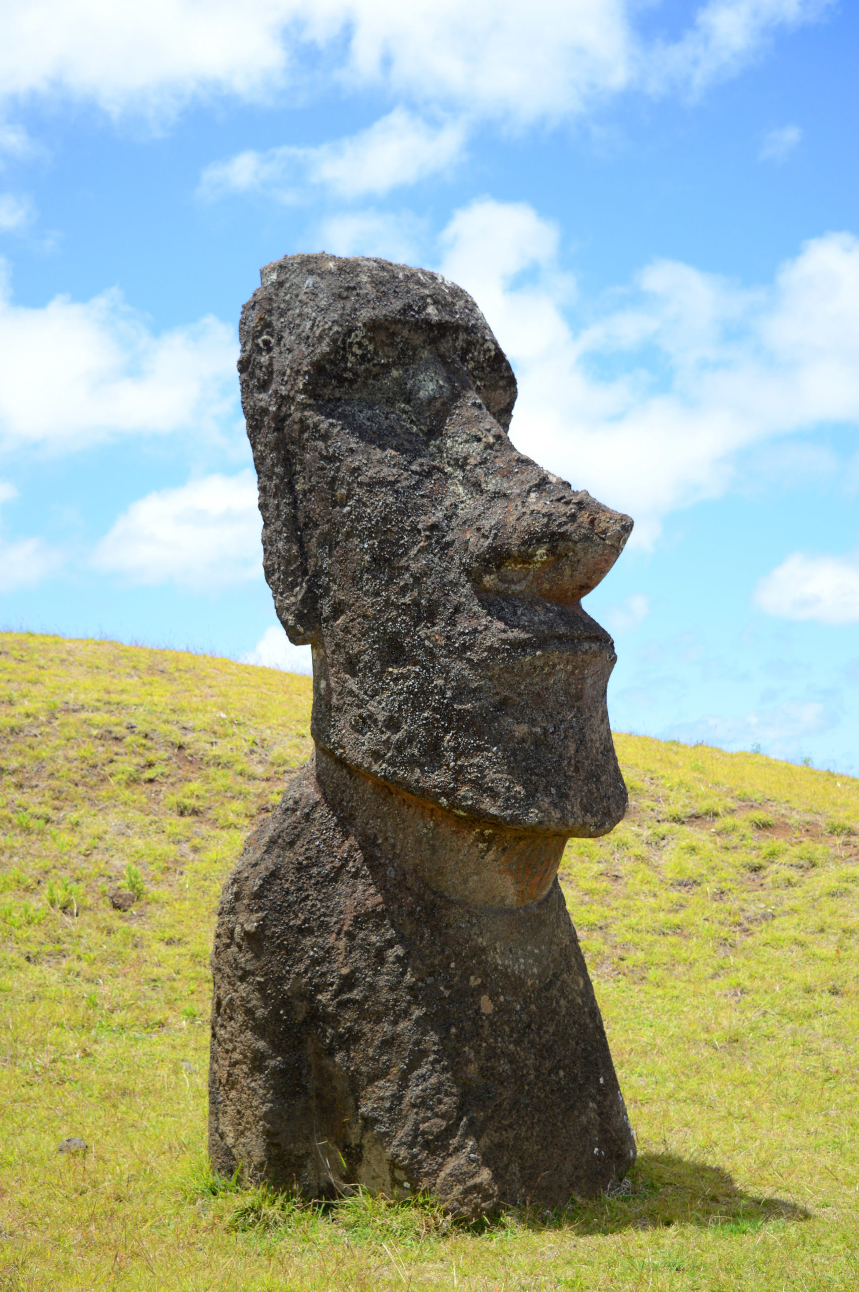 Statue moaï abandonnée, la moitié de son corps sort de terre