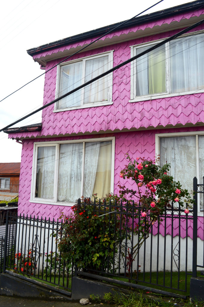 Rosier aux fleurs rose/rouge devant une maison à la couleur rose