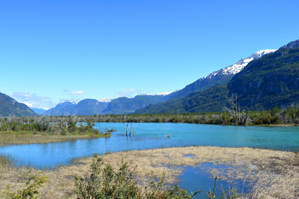 Rivière en Patagonie bordée par des berges vertes et des montagnes aux sommets enneigés