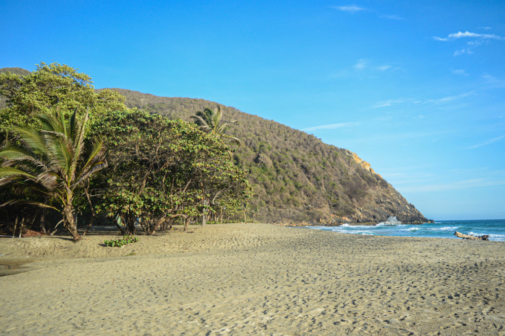 plage des caraibes au lever du soleil, playa brava