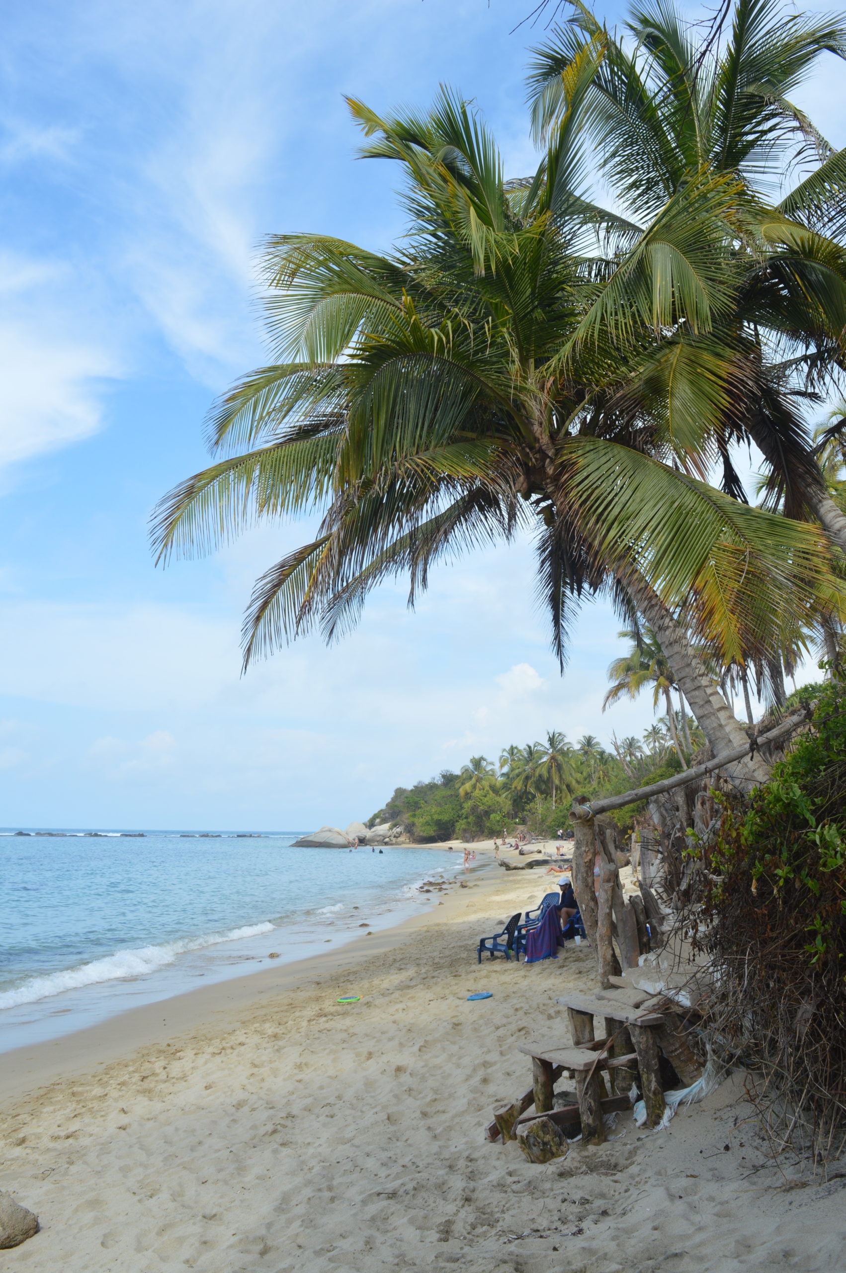 la piscina, plage et palmier des caraibes