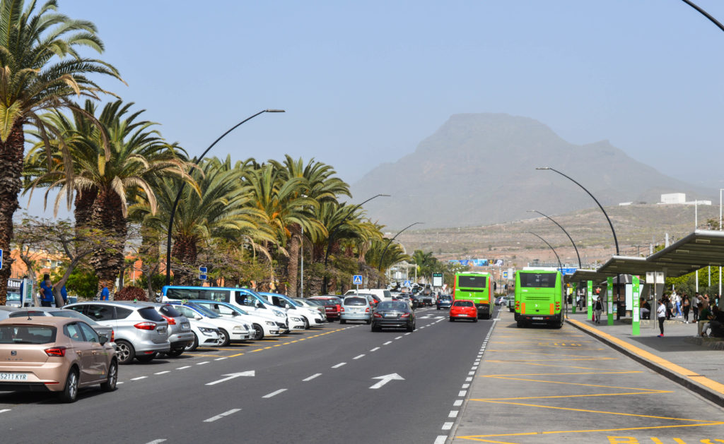 avenue avec palmiers et montagne volcaniques