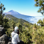 forêt et volcan teide