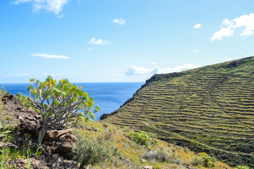 Mer bleue au loin, et au premier plan une colline verte à stries (sûrement d'anciennes terrasses)