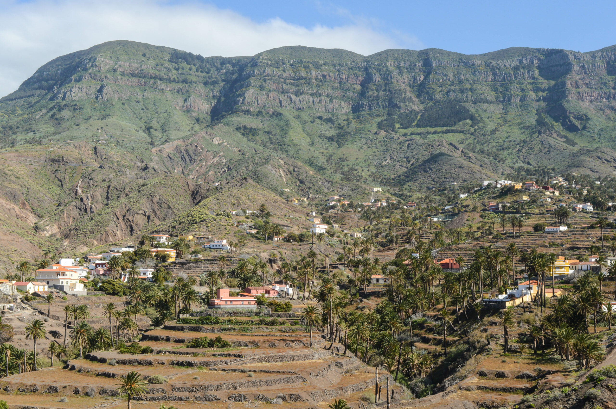 Quelques maisons dans la vallée, ainsi que quelques palmiers, avec les falaises rocheuses derrière, au loin