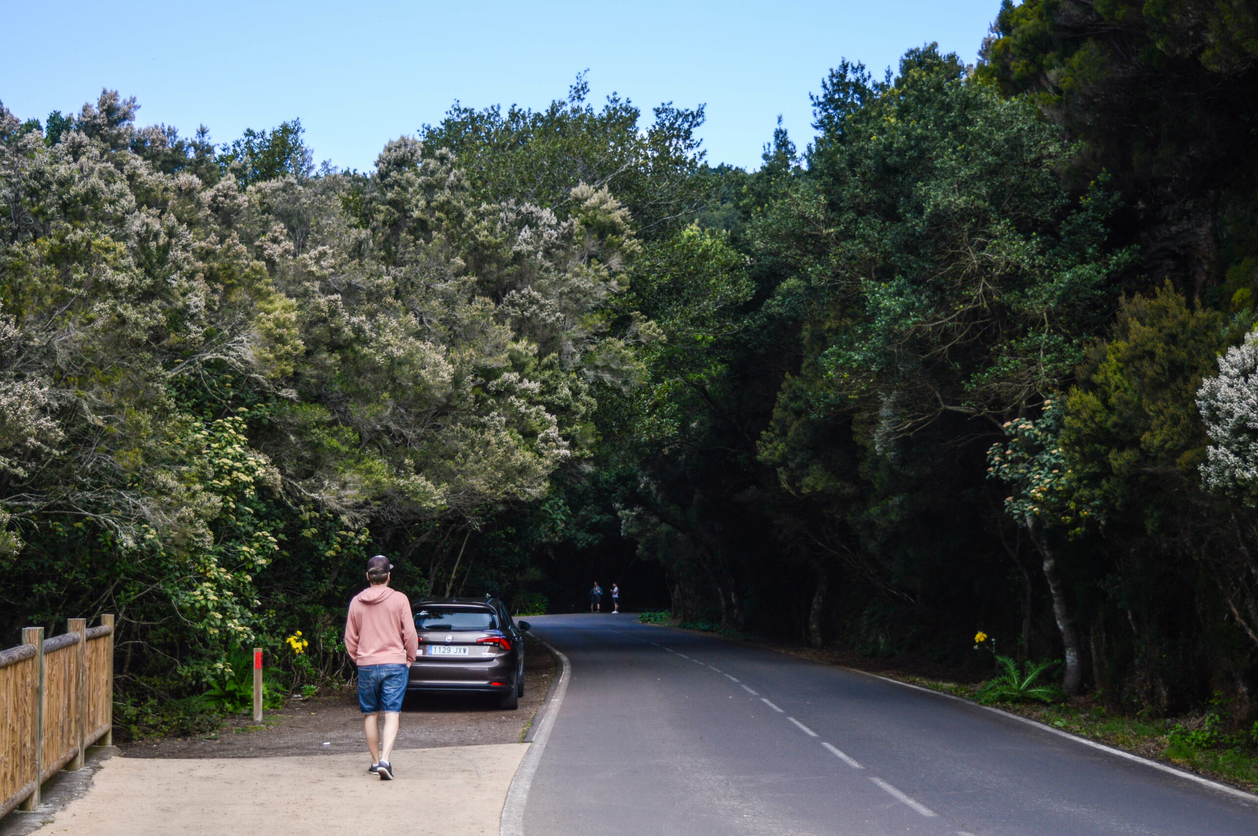 Personne marchant le long de la route traversant la forêt