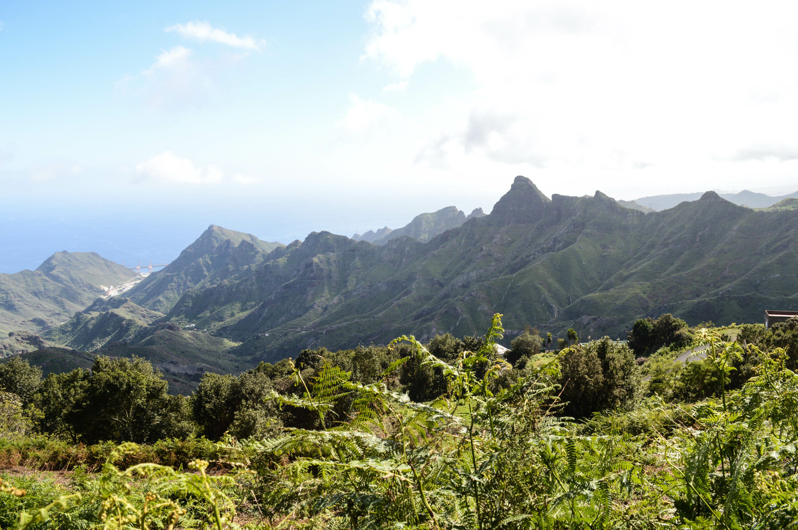 Panorama sur les pics pointus des montagnes de l'Anaga à Tenerife, avec de la végétation au premier plan, et l'océan en arrière plan