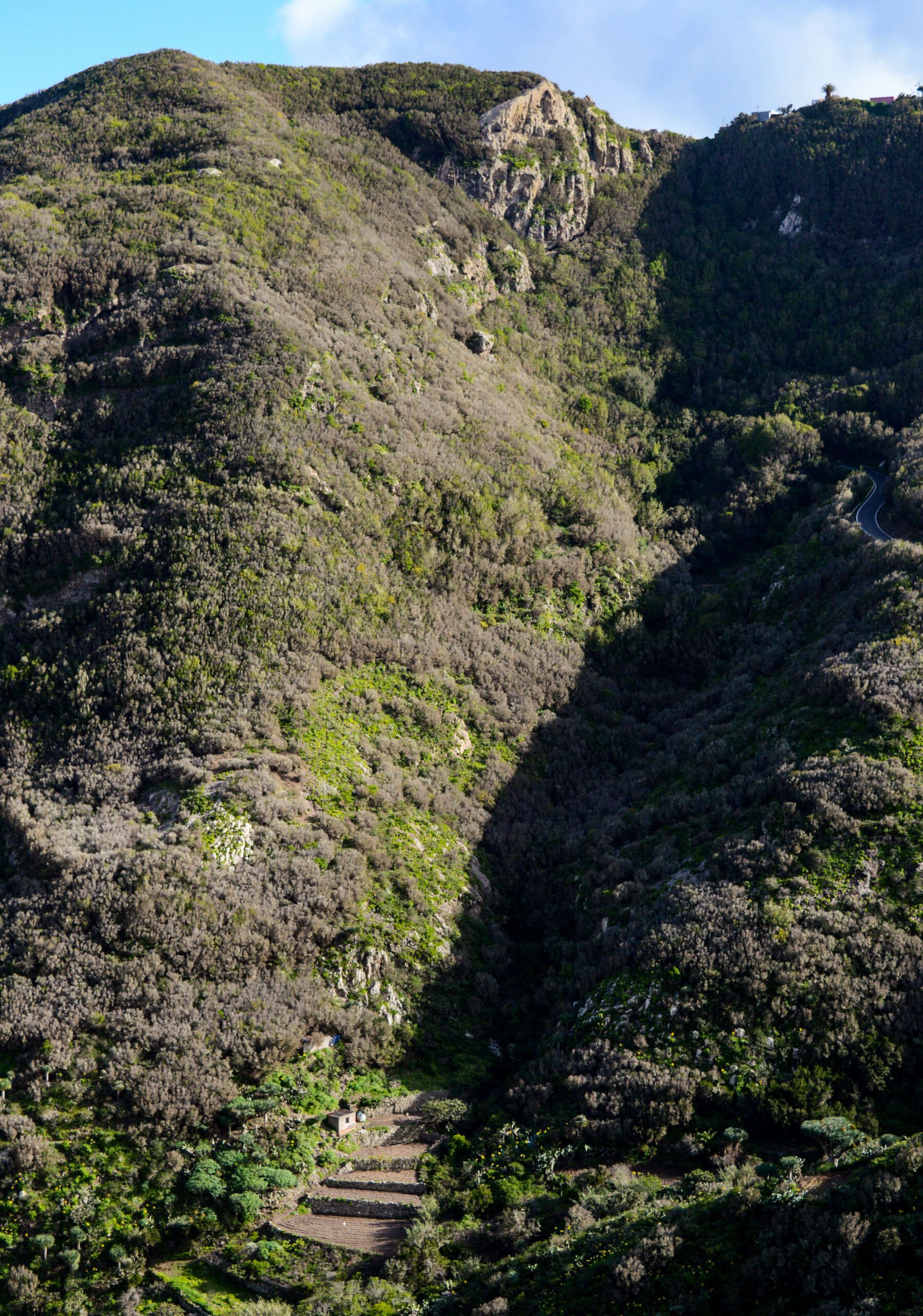 Petites terrasses en bas de la montagne recouverte de végétations