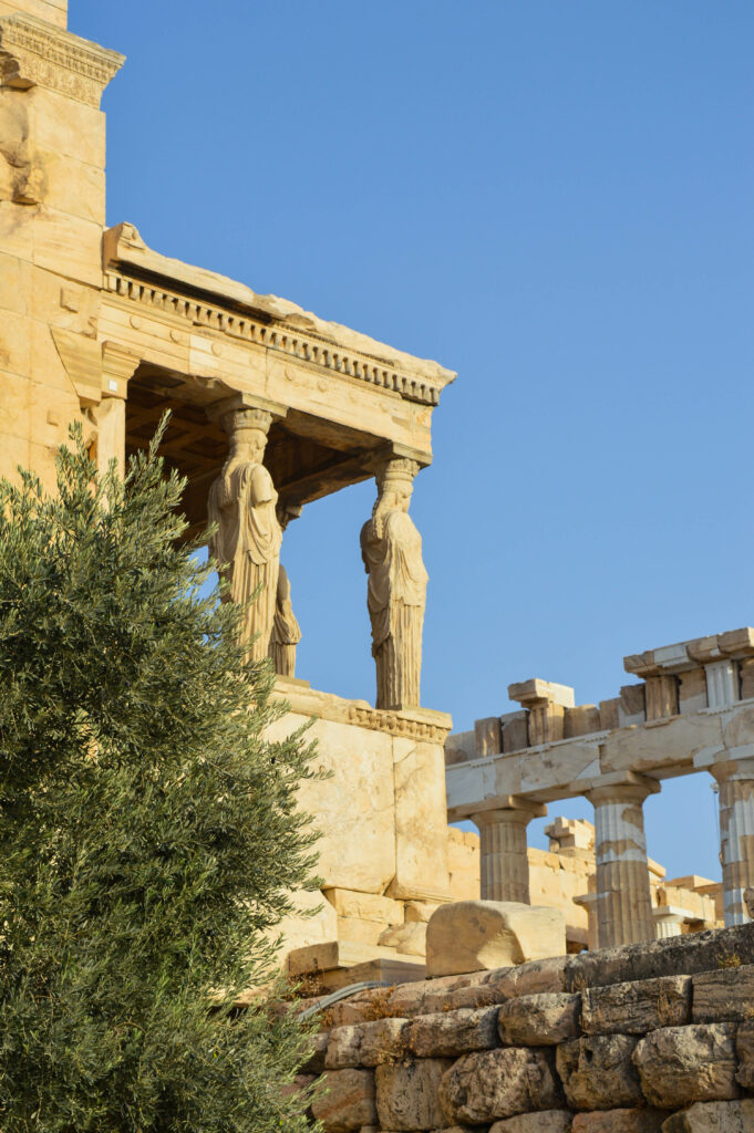 L'Erechthéion, structure grecque antique en pierre, avec ses colonnes en forme de figures féminines, appelées cariatides, sous un ciel bleu clair. Des colonnes de marbre en ruine et un olivier feuillu apparaissent au premier plan.