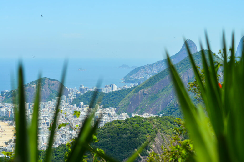 Feuilles de yucca devant la vue sur la vallée de la ville de Rio, entourée des montagnes
